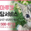 마루캣 네이버블로그