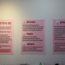 안동핑크슬라임 이미지