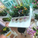 하트커피 이미지