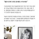 연필스케치(기초) 이미지