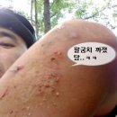 부락산 자전거도로 이미지