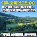 관악(신안스포츠클럽)주 | 소피아그린CC 그린피와 코스공략법, 주변맛빕 실제 라운딩 후기 (feat.부쉬넬 투어 v7 쉬프트)