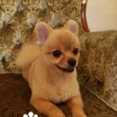 덕구슈퍼 네이버블로그