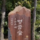 토평마을회관 | 서귀포 치유의숲 뚜벅이로 다녀오기 리뷰 - 예약, 주차, 시간, 625번버스