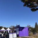 갤러리 | 마우나오션CC 🏆위믹스 챔피언십 _갤러리후기