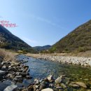 Q당구장 | 제천 월악산 계곡 캠핑장 후기 | 광천민박오토캠핑장 시설·요금·접근성 총정리