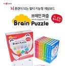 브레인 퍼즐 이미지