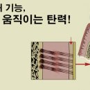 이영준치과 이미지