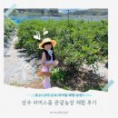 [상주 : 파머스룸] 블루베리 수확부터 동물 먹이주기까지! 아이와 즐기는 농장 체험의 모든 것