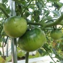 무심농장 이미지