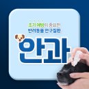 백마동물병원 이미지
