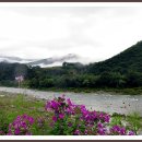 산골나들이 이미지