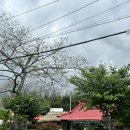 천북경로당 이미지