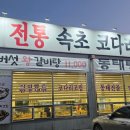 속초코다리 티스토리