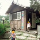 파파스트리
