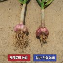 해동농약사