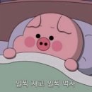 슬기로운식탁 이미지