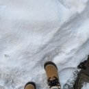 [삿포로] 2025년 2월 삿포로 | 비에이 버스 투어 강력 추천 ! 🚌❄️☃️🩵