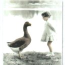 애니멀 체가 이미지