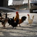 마조마을 화장실 이미지