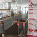 수아로마 네이버블로그