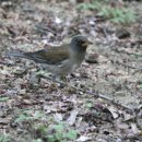 마음을 차분하게 하는 잔잔한 클래식 8곡 연속듣기 이미지
