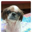 피아민트 이미지