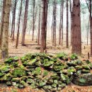 학곡리 주민쉼터 이미지