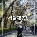 서울대공원 | [경기/과천] '서울대공원' 내돈내산 후기 | 벚꽃명소, 서울 데이트, 데이트 추천, 벚꽃놀이, 가족나들이
