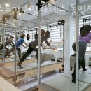 제스트(501) 이미지