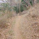 장군산길 이미지