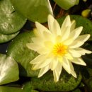 청통면종합복지타운 이미지