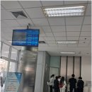 경기국제행정사사무소 | 드림행정사사무소와 함께한 국제결혼 서류 준비의 모든 것