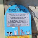 우리들목장 | [의령]야베스목장 내돈내산 후기