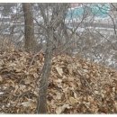 문안산성 이미지