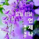 도서출판천우