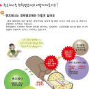 체사레헤어