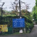용인 A.S 정비 | 용인 마운틴 캠핑장 S4 사이트 솔캠 솔직 후기