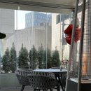 케익하우스 미엘 | [압구정로데오 맛집] 청담미엘Miel