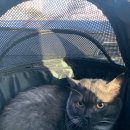 만세동물병원 이미지