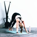 트루머슬짐 이미지