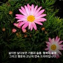 좋은시간 이미지