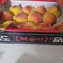 과일애 - 창원시 성산구 가음정로 59 | 과일애