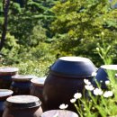 큰우물길 이미지