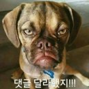 없음 이미지