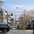 꼬dog꼬dog 이미지