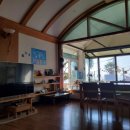 제주 장미여관 이미지