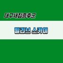 스카이 클린 업