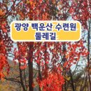포스코백운산수련원 이미지