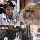 시선 민박 이미지